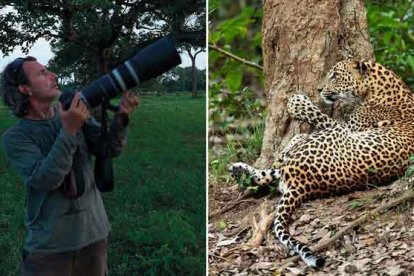 El fotógrafo Andoni Canela presenta ’Panteras’, un proyecto sobre los grandes felinos y su lucha por sobrevivir.-FOTO: ANDONI CANELA