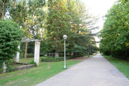 Paseo del parque de la Arboleda.-HDS