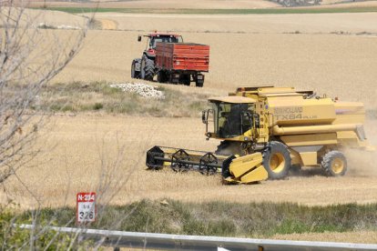 Una cosechadora realiza las labores en recogida del cereal. / VALENTÍN GUISANDE-