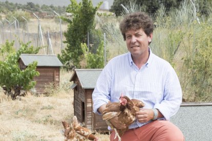 César Redondo dirige junto a sus hermanos José Ignacio y Antonio esta explotación avícola que creó su padre en 1956 en las faldas de Gredos. / L.P.