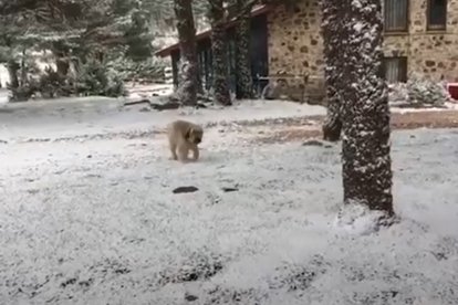 El Punto de Nieve de Santa Inés ya hace honor a su nombre. La primera nevada del otoño deja un leve manto blanco y ya invita a pensar en trineos, rutas... o en uno de sus reconfortantes platos.