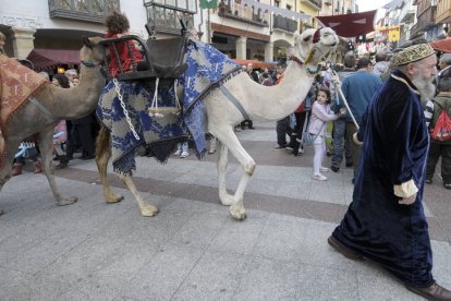 Dromedarios ayer de paseo por el mercado medieval.-