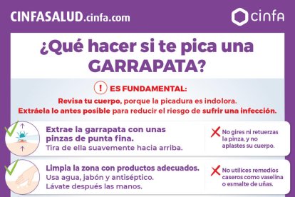 Como actuar ante la picadura de una garrapata. CINFA SALUD