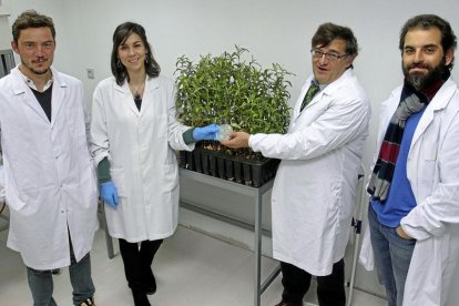 Investigadores con el cultivo-Manuel Brágimo