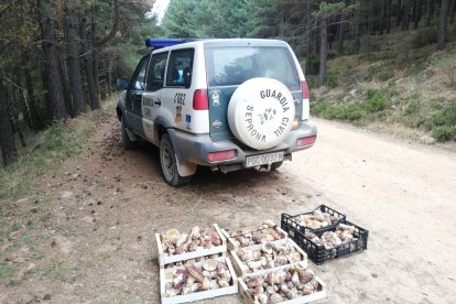 Banastas incautadas junto a un vehículos de la Guardia Civil. HDS