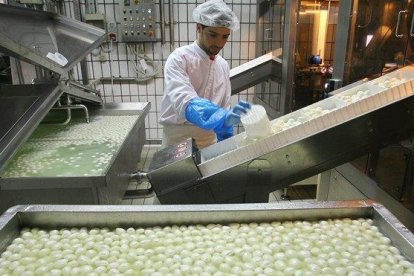 Un trabajador de una quesería elabora mozzarella de búfala en la ciudad italiana de Mondragone, a 50 kilómetros de Nápoles.-MARIO LAPORTA (AFP)