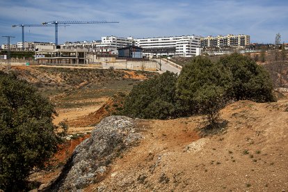 Fincas donde se ubicará el nuevo polideportivo de Los Royales. MARIO TEJEDOR