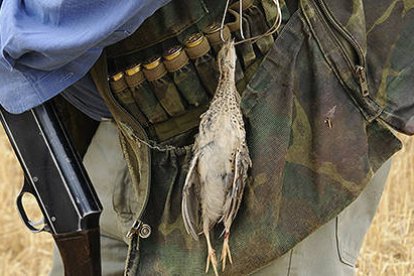 Un cazador con una codorniz en la percha. / VALENTÍN GUISANDE-