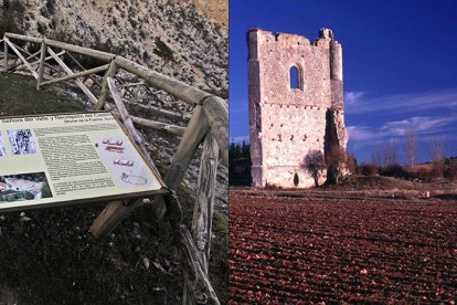 Necropolis de Muriel y Monasterio de San Jerónimo en Espeja.- MARIO TEJEDOR/ HDS