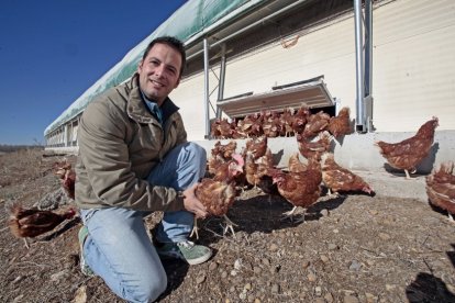 Jesús Ciria junto a las gallinas camperas de Huevos La Cañada de Soria. HDS