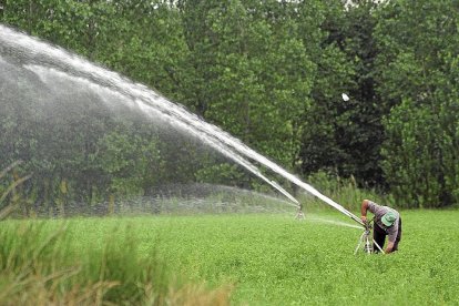 Un agricultor coloca uno de los aspersores de su instalación en la localidad palentina de Carrión de los Condes. / BRÁGIMO