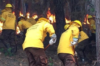 Chile vive una ola de incendios forestales que han arrasado con miles de hectáreas.-AFP