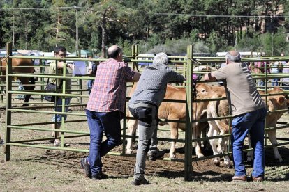 Feria de Ganado en Vinuesa-Daniel Rodríguez