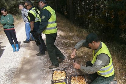 Agentes pesando banastas de níscalos decomisados.-JUNTA