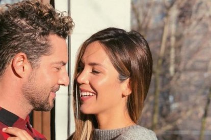 David Bisbal le pide matrimonio a su chica, Rosanna Zanetti.-/ PERIODICO (INSTAGRAM)