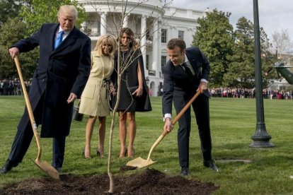 El presidente Donald Trump y su homólogo francés, Emmanuel Macron, plantan un árbol ante la presencia de sus esposas.-/ ANDREW HAMIK (AP)