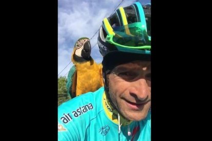 Michele Scarponi y 'Frankje', el loro que lo sigue en los entrenamientos.-