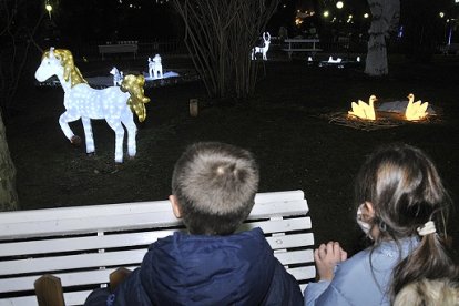 El Zoo de luz se puso el martes de largo en el parque de la Dehesa. VALENTÍN GUISANDE