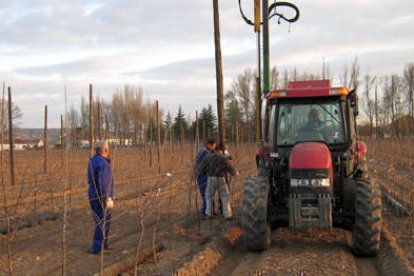 Vista parcial de la finca de La Rasa donde Nufri desarrolla su proyecto. / JAVIER SOLÉ-