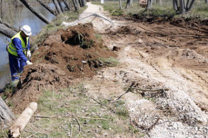 Actuación de urgencia, el 18 de abril de 2013, en una zona de las márgenes del río Duero en Soria. / ÁLVARO MARTÍNEZ-