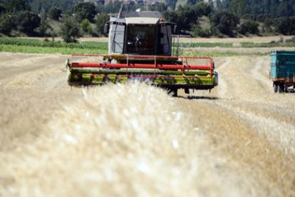 Una explotación agraria en la provincia de Soria. / ÁLVARO MARTÍNEZ-