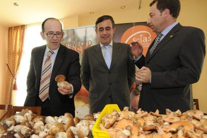 Presentación de la marca Setas de Calidad de Castilla y León ayer en Almazán. / VALENTÍN GUISANDE-