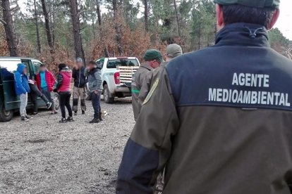 Una actuación de control en un monte de la provincia.-HDS