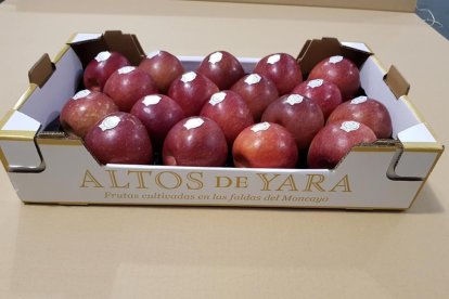 Manzanas de Altos de Yara-HDS