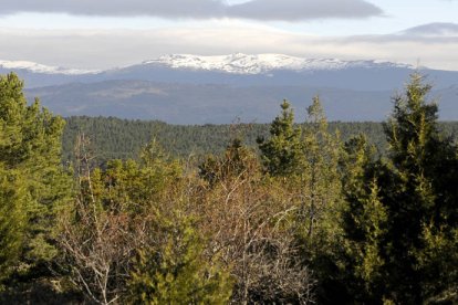 Paraje de los Picos de Urbión donde se perdieron los montañeros. /V. G. -