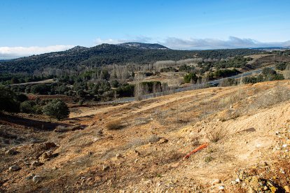 Zona de Los Royales donde se ubicará el CAR - MARIO TEJEDOR