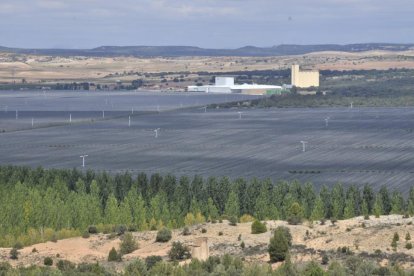 Plantación de manzanos de Nufri-V.G.