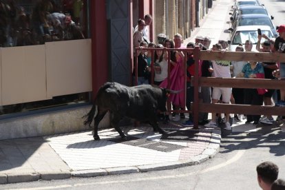 Encierro urbano en las callles de Soria.