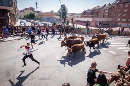 Encierro de Soria en su edición de 2023, ya un clásico antes de San Juan.