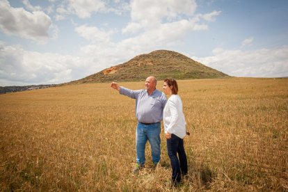 Valoración de la parcela de cultivo siniestrada por la sequía