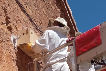 Los bomberos retiran el enjambre de abejas en Osma