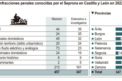 Infracciones penales conocidas por el Seprona en Castilla y León en 2022.