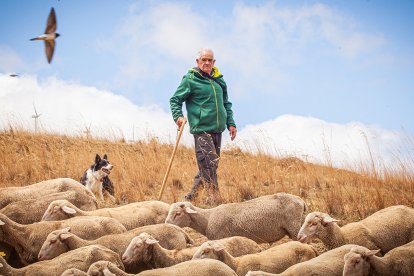 Eduardo Rincón con sus ovejas.