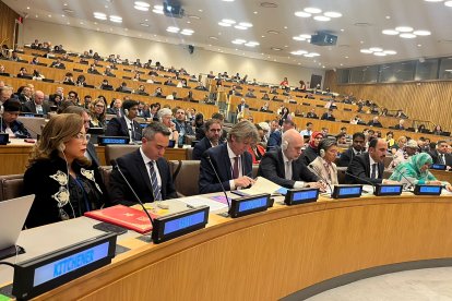 El alcalde de Soria durante la reunión en la ONU. HDS