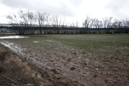 Campo en la provincia de Soria.