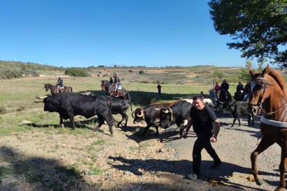 Ágreda celebra su Trashumancia.