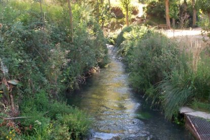 Río Queiles en Vozmediano