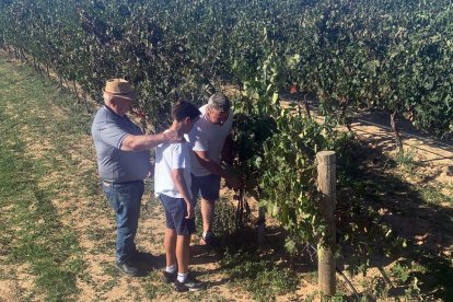 Explotación de Bodegas Postín, en Zayas de Báscones.