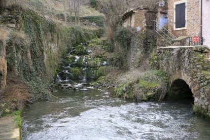 El río Queiles a su paso por Vozmediano.