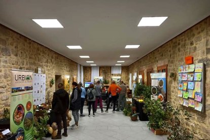 Foto de la exposición de setas de Covaleda, el último pueblo en haber celebrado estas jornadas.