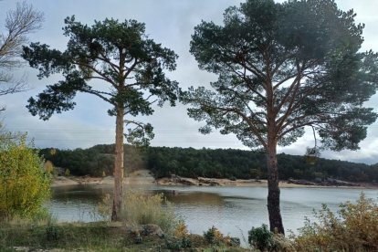 Embalse de la Cuerda del Pozo en la actualidad.