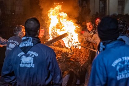 El Toro Jubilo se celebra siempre el segundo sábado de noviembre.