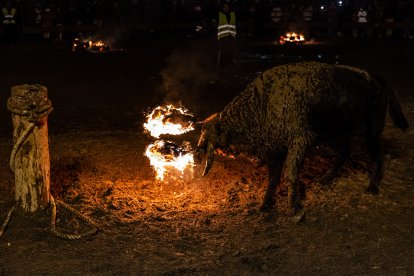 Imagen del Toro Jubilo la noche del sábado.