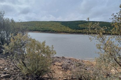 Embalse de la Cuerda del Pozo en una imagen actual.