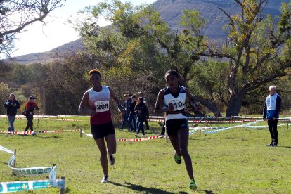 Imagen de una de las ediciones del prestigioso Cross Internacional de Soria.