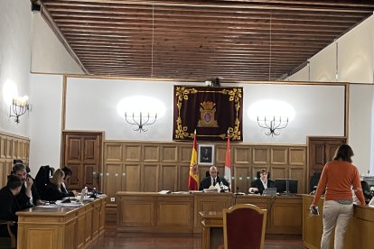 El juicio por asesinato se celebra en la Audiencia Provincial de Soria.